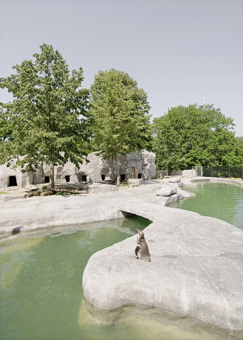 Green experience center in Luisenpark by Bez Kock Architekten BDA