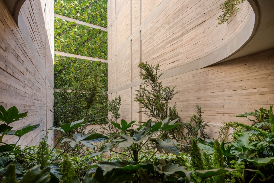 MO288 HGR Arquitectos