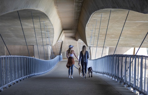 圣埃利霍湖人行天桥，美国 / Safdie Rabines Architects