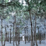 “松衣剧场”与“苏子美人靠”，山东 / 孔祥伟工作室
