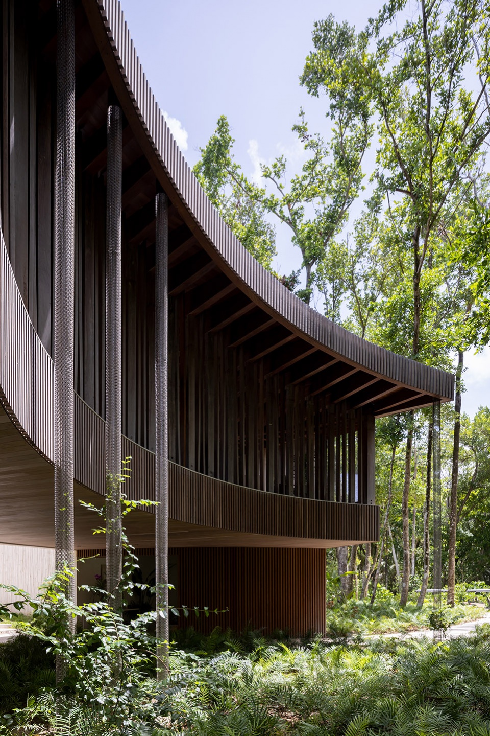 casa las olas by young projects