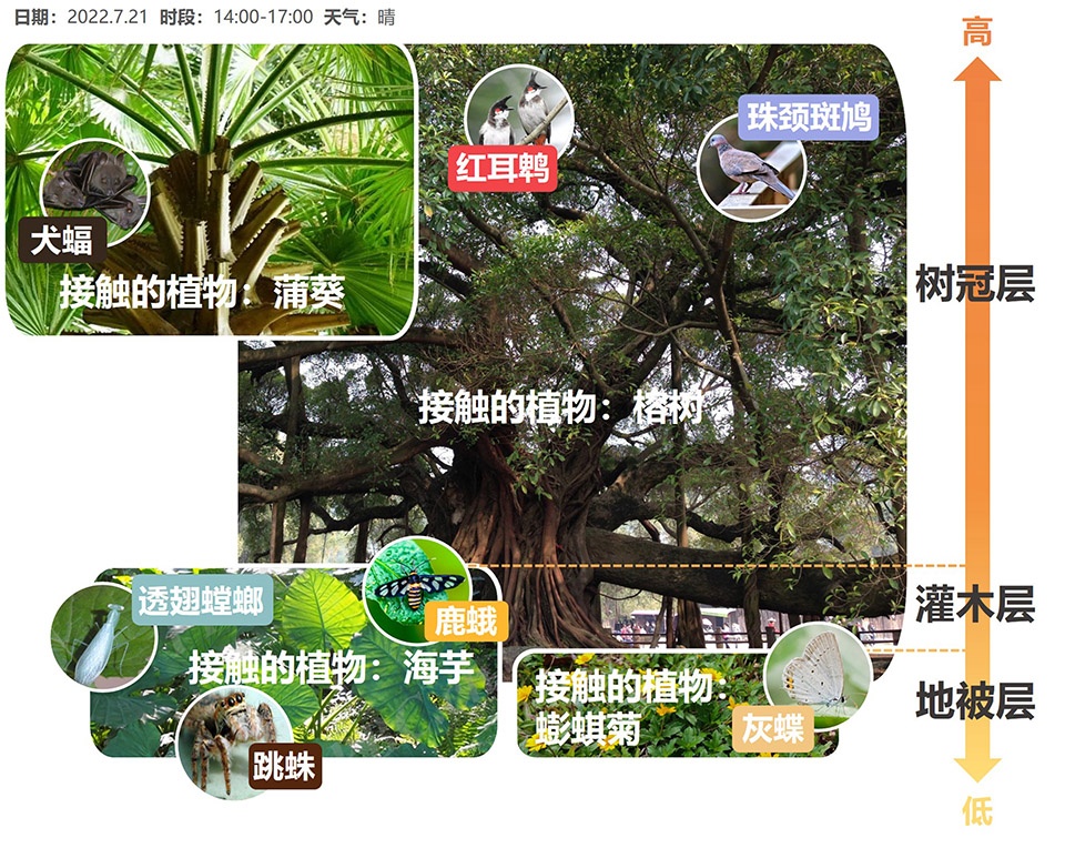 Jingshan Villa Community Co Garden China by Public Space Lab School of Architecture Harbin Institute of Technology Shenzhen