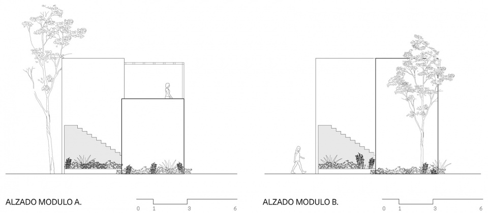 TULIX COYOTE ARQUITECTURA