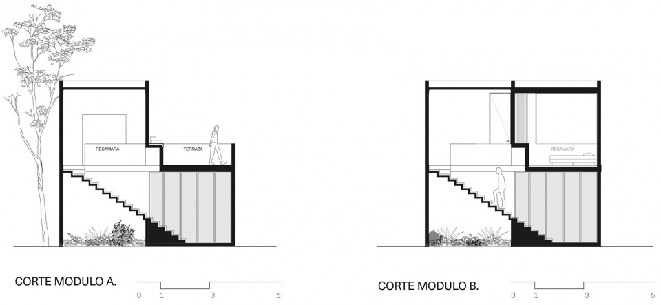 TULIX COYOTE ARQUITECTURA