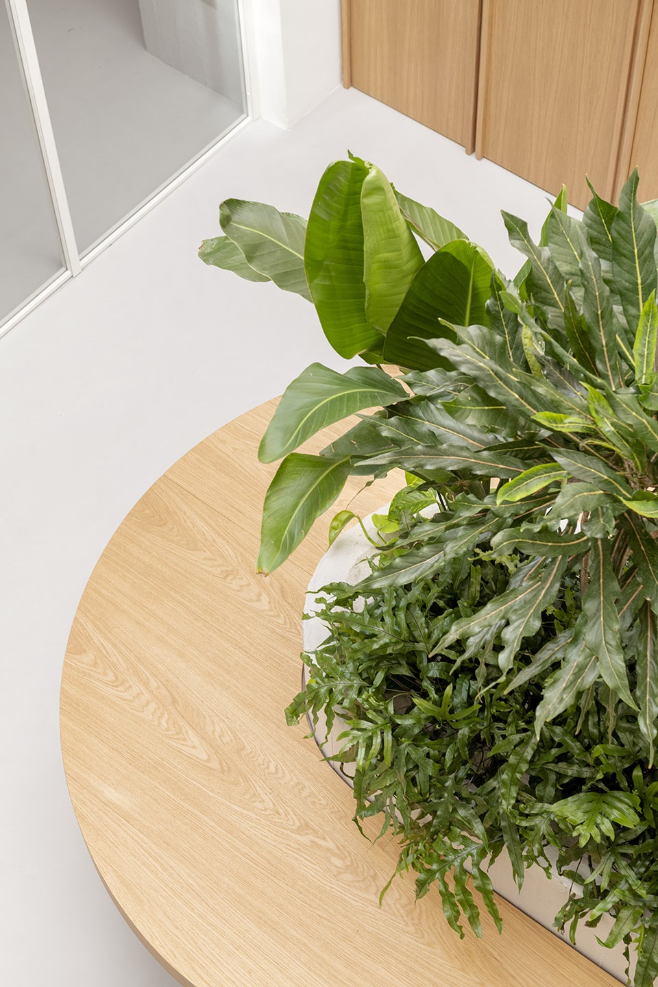 Project Prior Ecclesia by Studio Didea