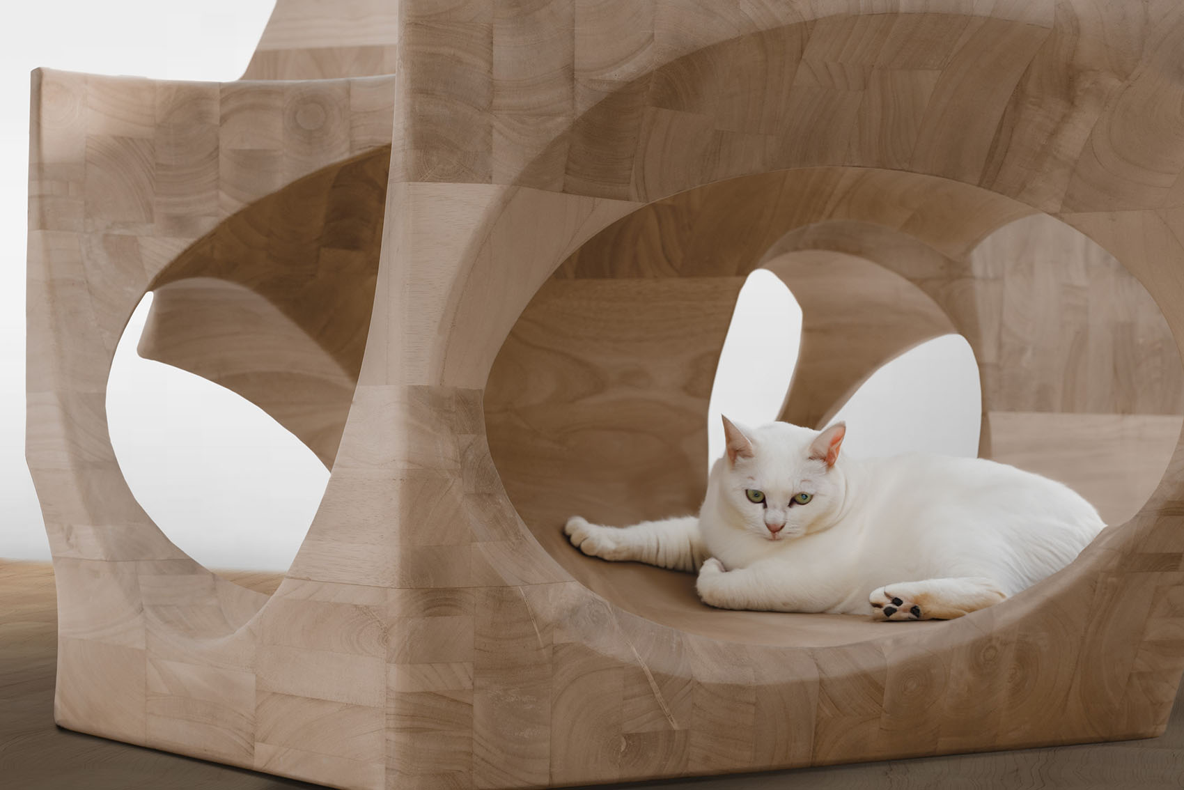 Co habitable object by atelier alter 