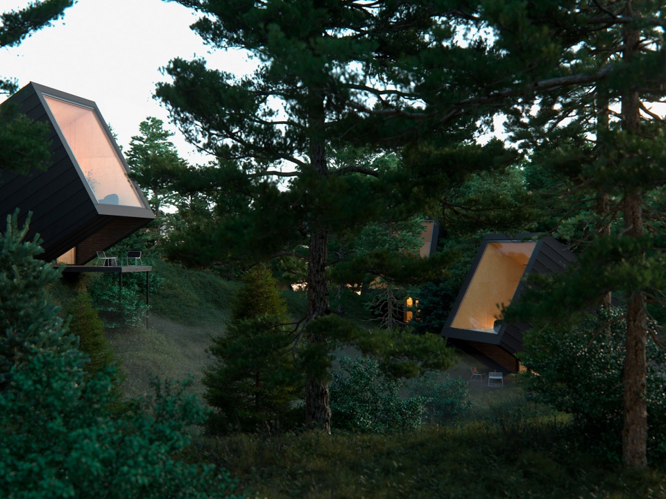 pine house by line design