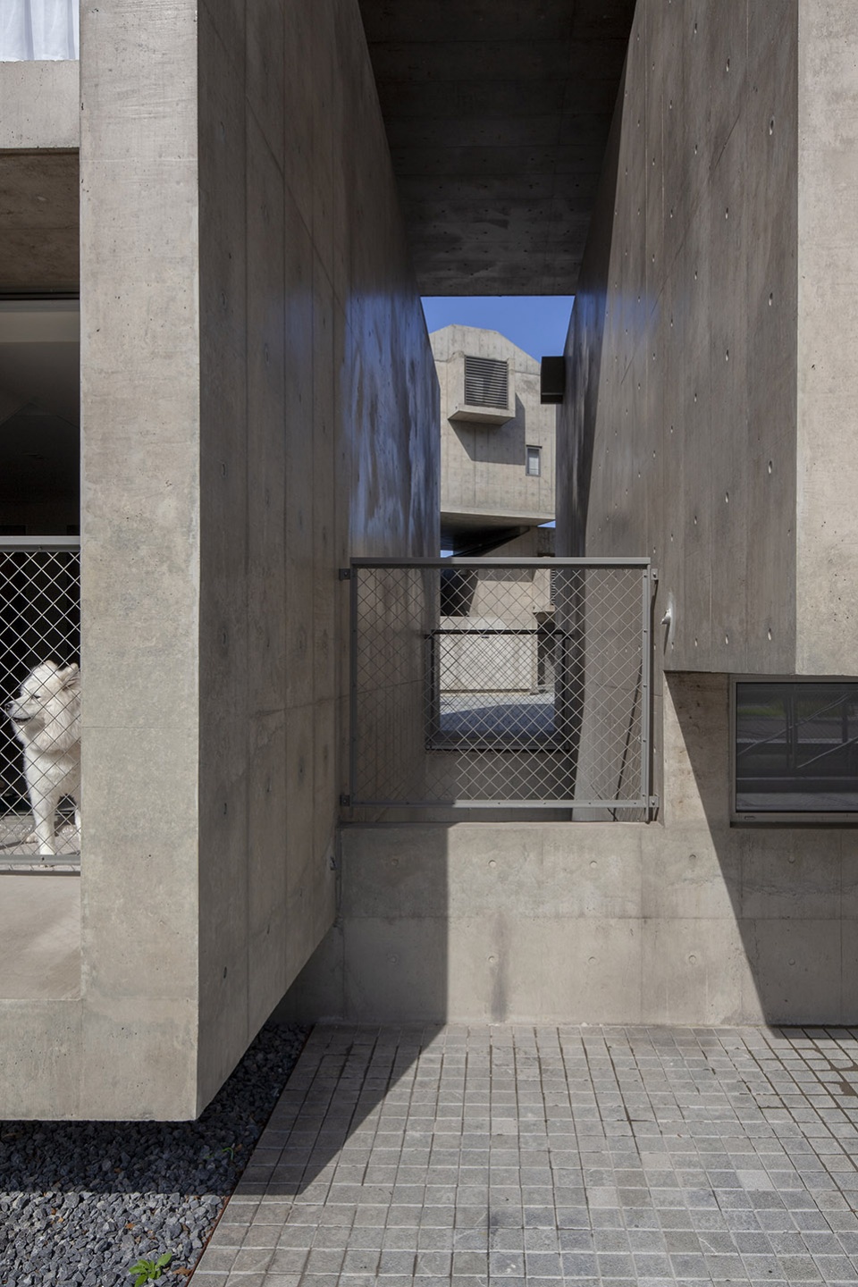 the kennels by atelier gom