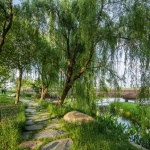 长三角一体化示范区环元荡滨水景观设计，苏州 / 启迪设计集团股份有限公司