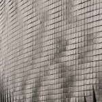 国家生物多样性展馆，墨西哥 / Fernanda Ahumada + FREE