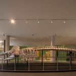 国家生物多样性展馆，墨西哥 / Fernanda Ahumada + FREE