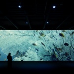 国家生物多样性展馆，墨西哥 / Fernanda Ahumada + FREE