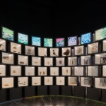 国家生物多样性展馆，墨西哥 / Fernanda Ahumada + FREE