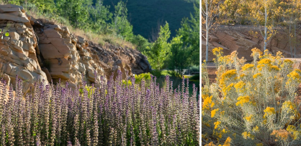 2022 asla residential design award of honor quarry house design workshop inc