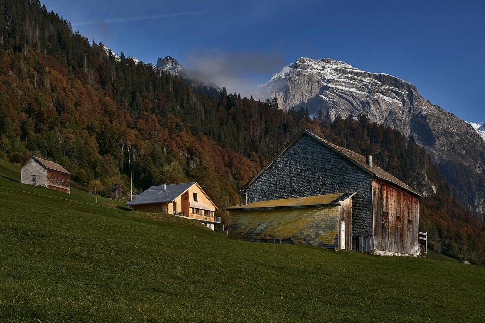 HOLZHAUS by Studio Noun