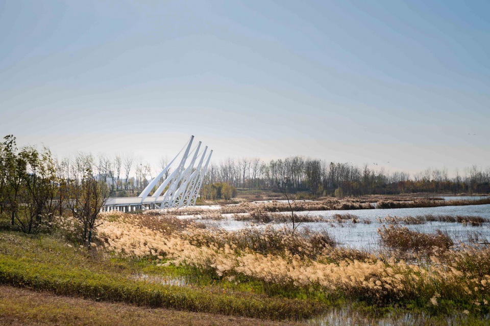 Zhoukou Shahewan Wetland Park China by Beijing Sunshine Landscape Co Ltd