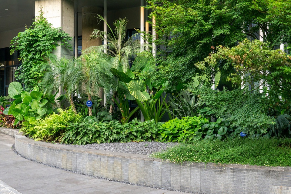 Landscape Design of Chongqing Weilan Linkong Holiday Inn China by Xiangjie Design Agency 3sy