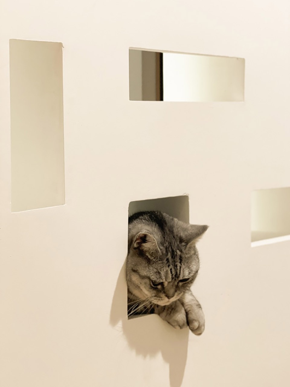 House of Peek a boo China by Dream Cat Interior Design