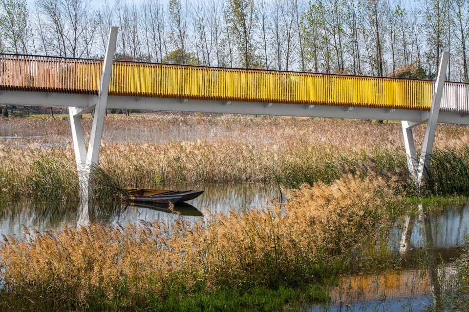Zhoukou Shahewan Wetland Park China by Beijing Sunshine Landscape Co Ltd