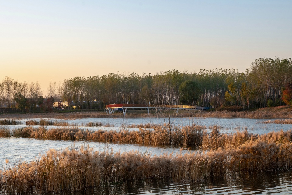 Zhoukou Shahewan Wetland Park China by Beijing Sunshine Landscape Co Ltd