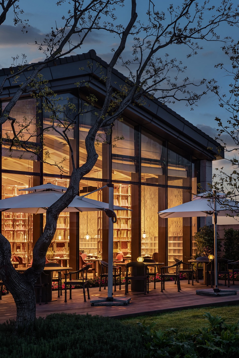 mumian chengdu by ccd