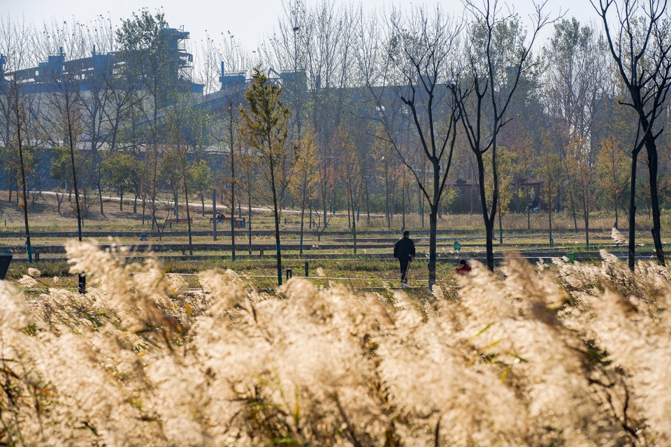 Zhoukou Shahewan Wetland Park China by Beijing Sunshine Landscape Co Ltd