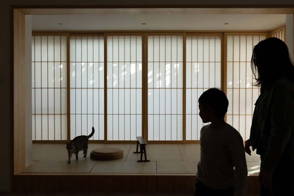 House of Peek a boo China by Dream Cat Interior Design