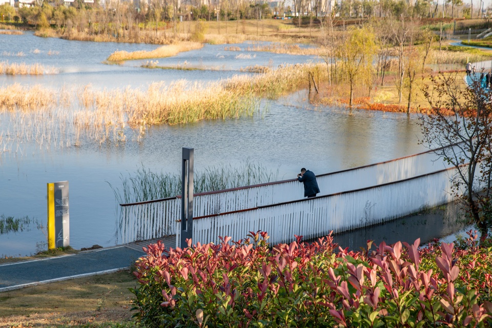 Zhoukou Shahewan Wetland Park China by Beijing Sunshine Landscape Co Ltd