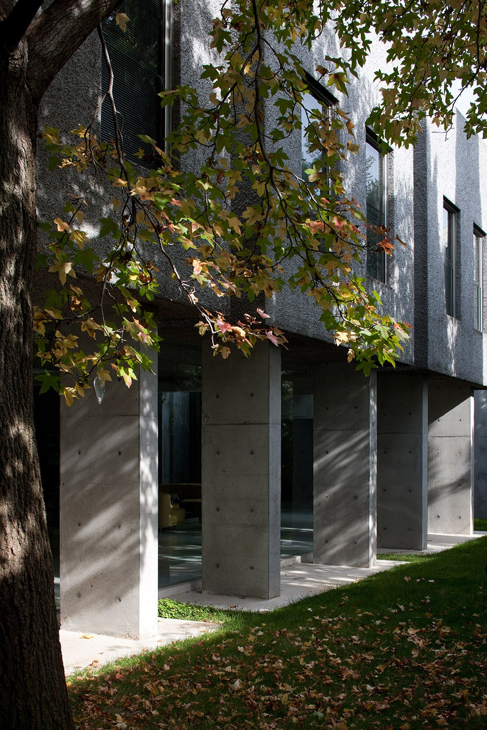 Gottlieb House by Wood Marsh