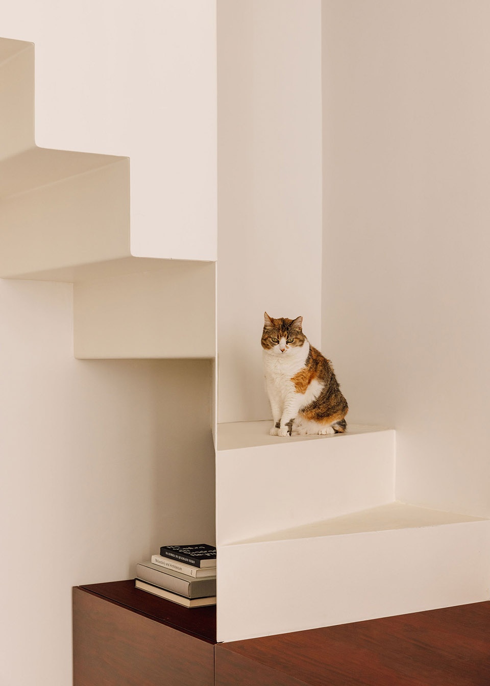 APARTMENT AR by Rita Aguiar Rodrigues