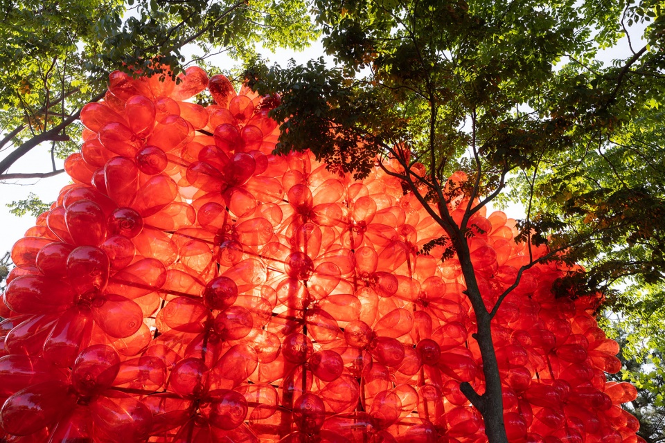 海洋之花艺术装置 孔祥伟工作室