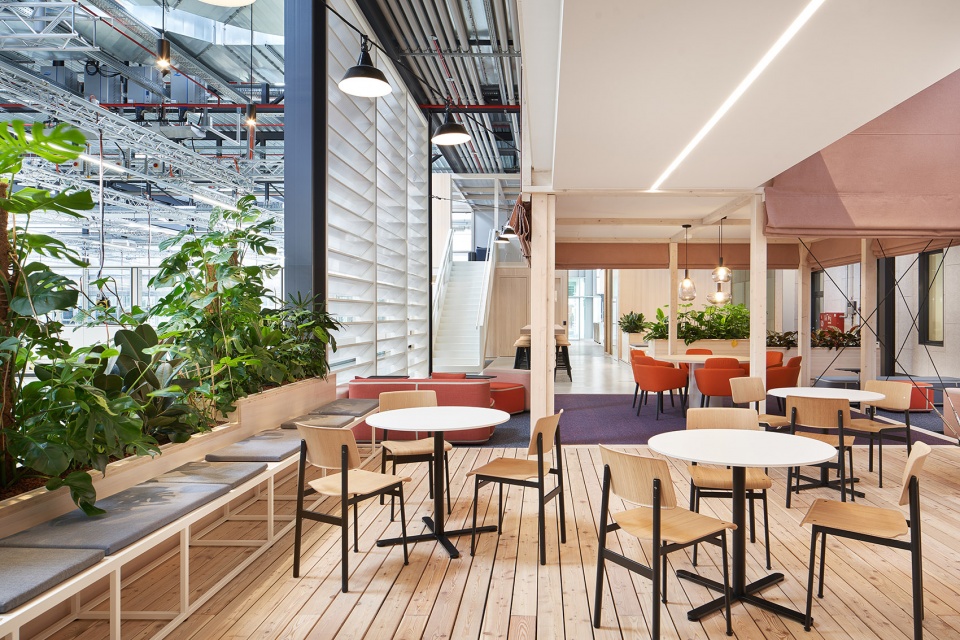 herzzone roche by studio alexander fehre