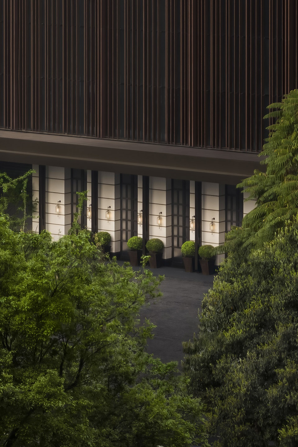 mumian chengdu by ccd