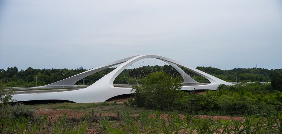 Jiangxi River Bridge 扎哈建筑事务所
