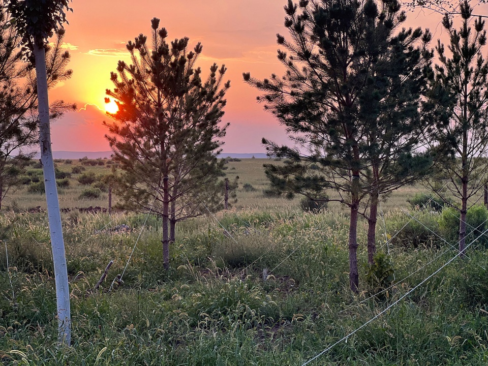 乌兰察布兴和县涝利海乡村振兴 茧梵景观