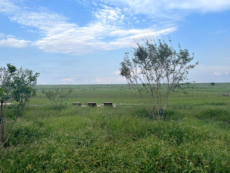 乌兰察布兴和县涝利海乡村振兴 茧梵景观