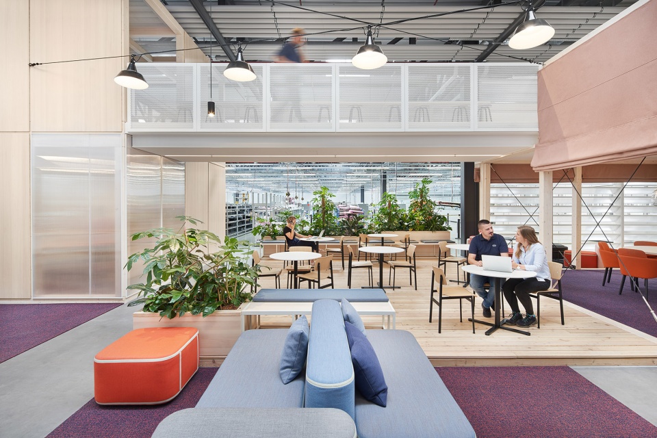 herzzone roche by studio alexander fehre