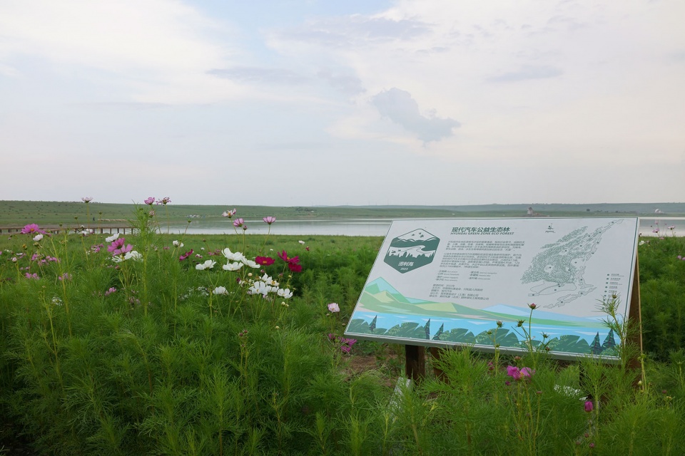 乌兰察布兴和县涝利海乡村振兴 茧梵景观