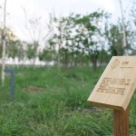 乌兰察布兴和县涝利海乡村振兴，内蒙古 / 茧梵设计