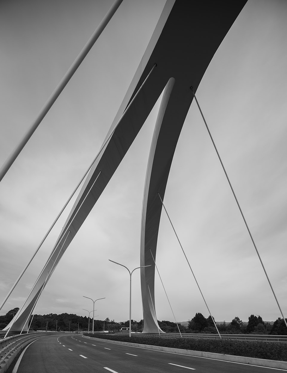 Jiangxi River Bridge 扎哈建筑事务所 拷贝