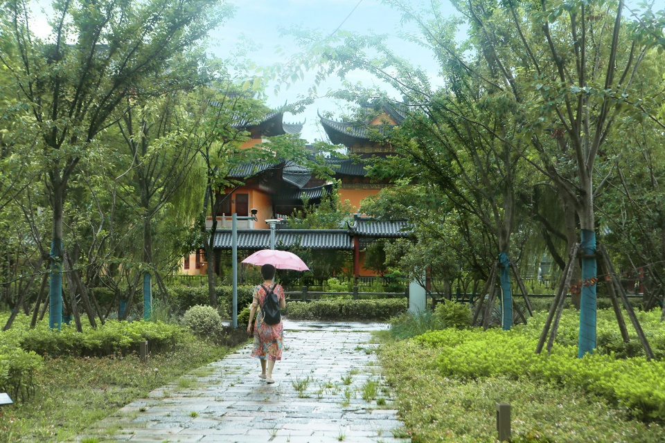 上海浦东牡丹园 MYP迈柏