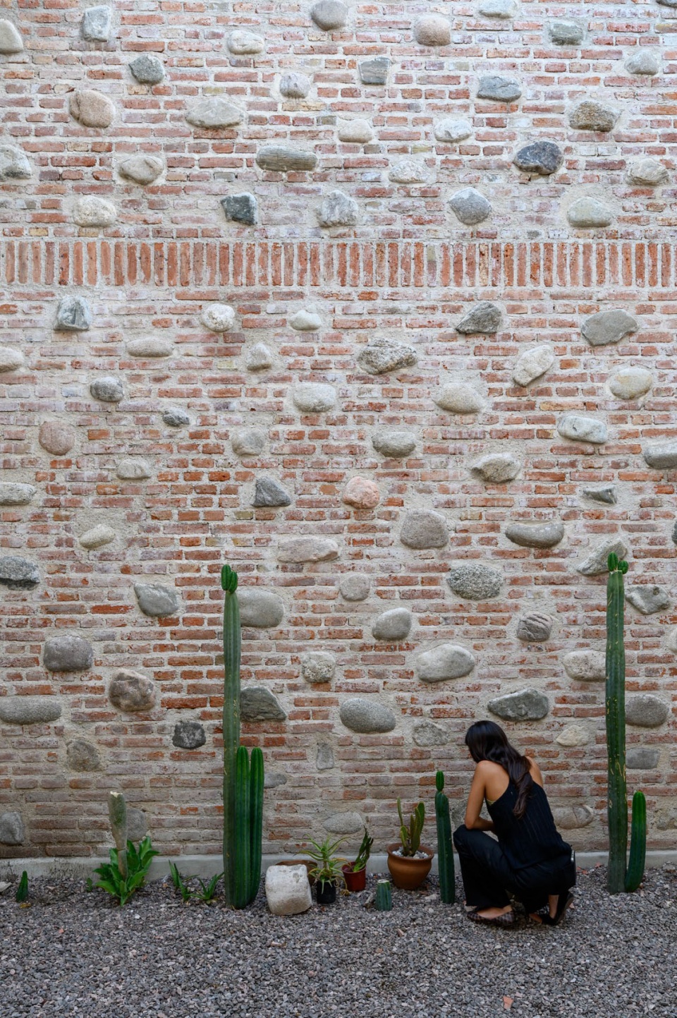 ESTUDIO PALACIOS DOCUMENTA PH GONZALOVIRAMONTE 6582 27 12 2022 re