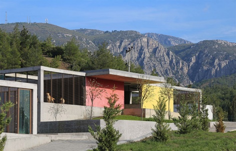 PAKO街动物社交园区，土耳其 / Mert Uslu Architecture