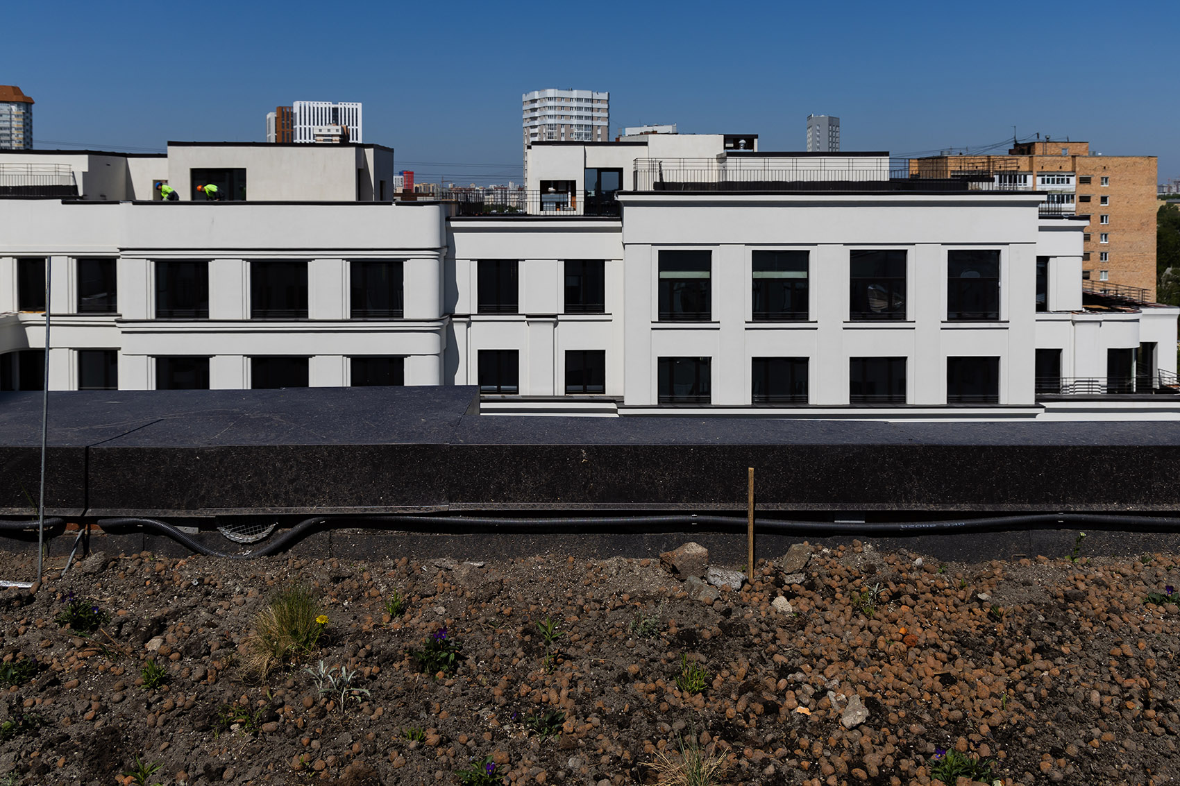 Gallery image with a fresh perspective