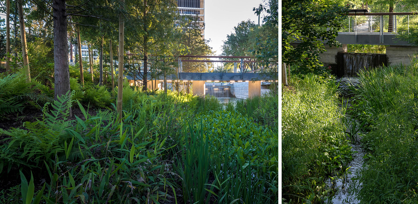 2022 ASLA URBAN DESIGN AWARD OF HONOR Midtown Park / Design