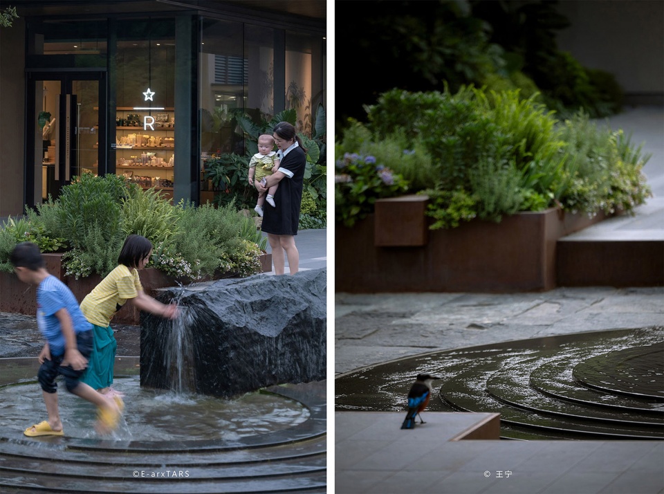 liangzhu birdland by change studio