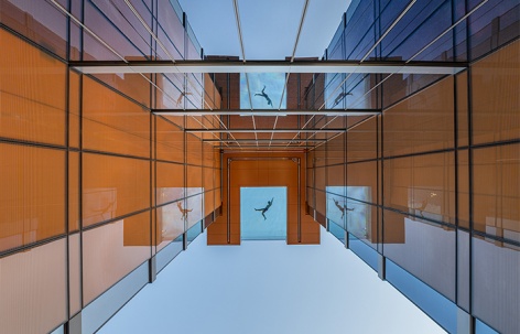 Alcove公寓楼，美国 / Goettsch Partners