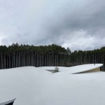 儿童森林 - 高嶺之森幼儿园，日本 / 山下貴成建築設計事務所