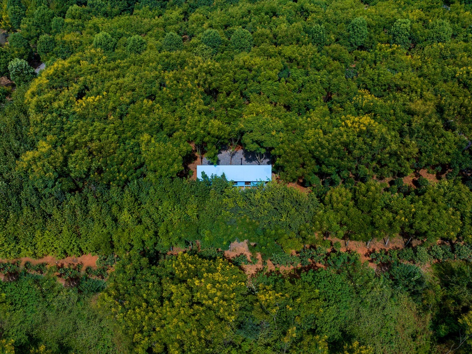 Wild Home 110 The Artist s Cabin China by Wiki World Advanced Architecture Lab