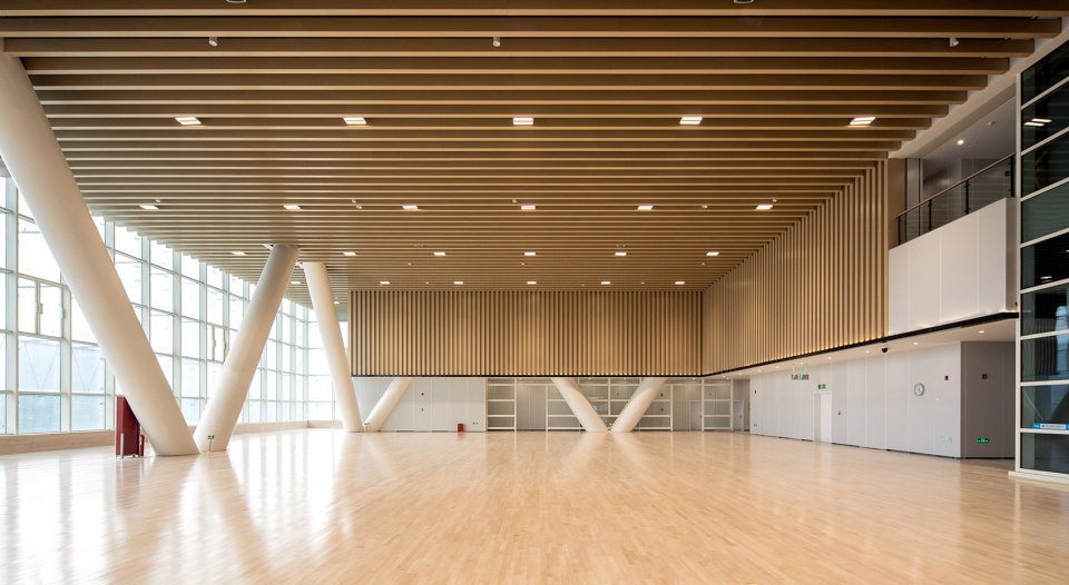 Hangzhou Olympic and International Expo Center Sports Complex Training Hall by AREP HZADI CO LTD